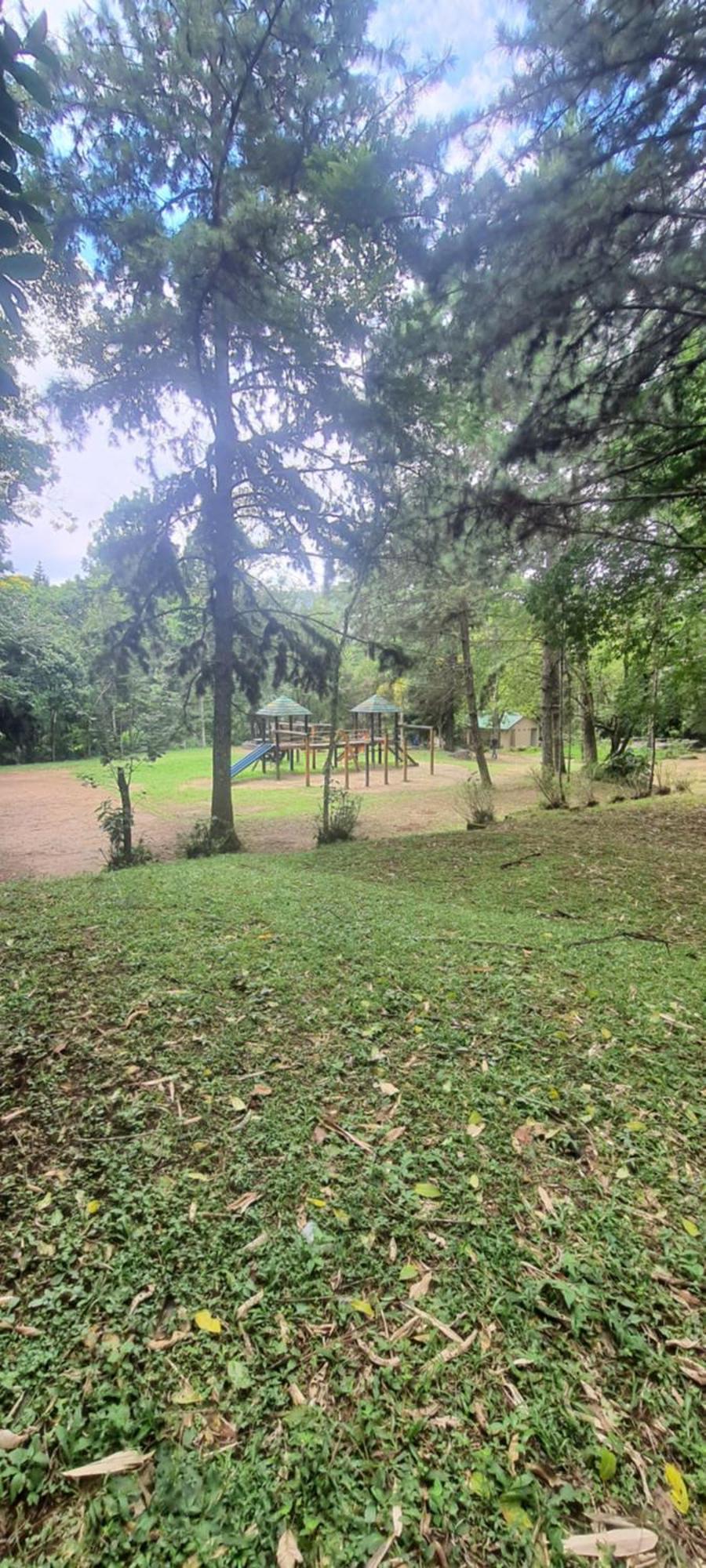 노바프리부르구 Ap Centro Cascatinha Prox Parque 아파트 외부 사진